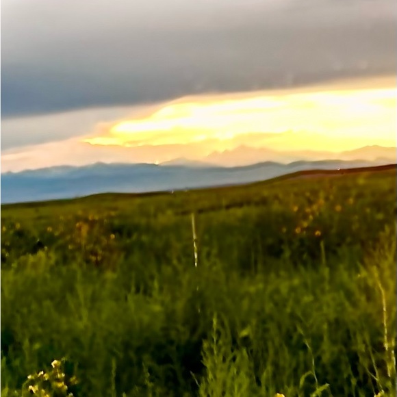 Meet your Posher, - Picture 11 of 11